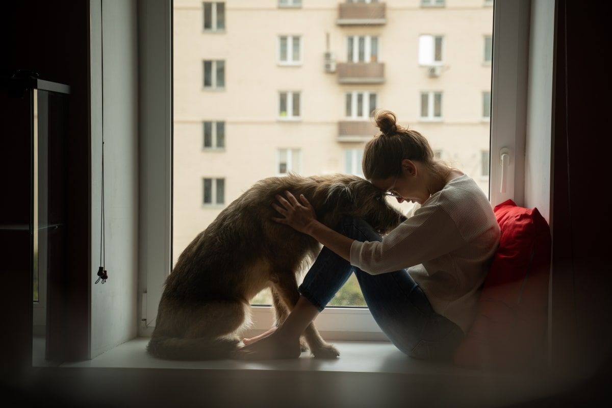 czy psy wiedzą, kiedy jest nam smutno