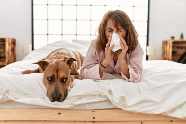 czym można zarazić psa