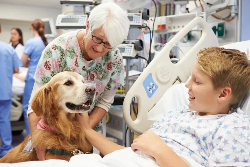 dogoterapia pies dogoterapeuta