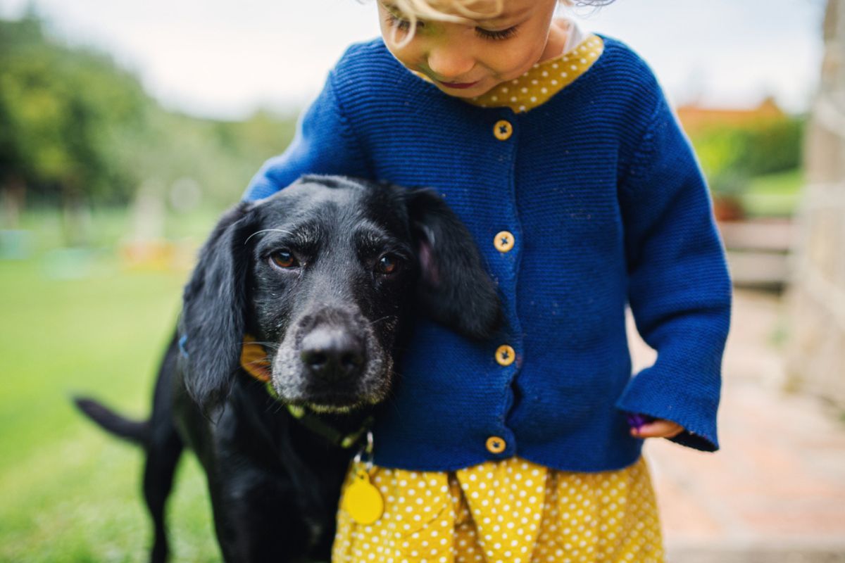 empatia do zwierząt u małych dzieci