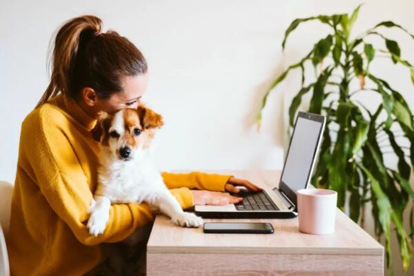 Jak kupować przez internet? Byle z głową!