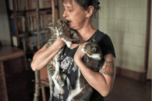 Hospicjum dla kotów