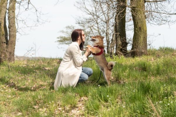 jak obecność psa wpływa na nasze serce