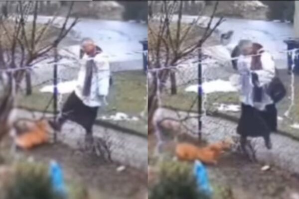 ksiądz zaatakował psa podczas kolędy