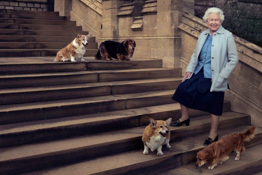 Odszedł corgi Elżbiety II – królowa jest załamana