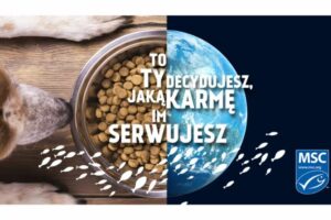 niebieski certyfikat MSC