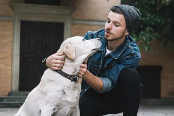 Powstał startup, który przedłuży życie psom