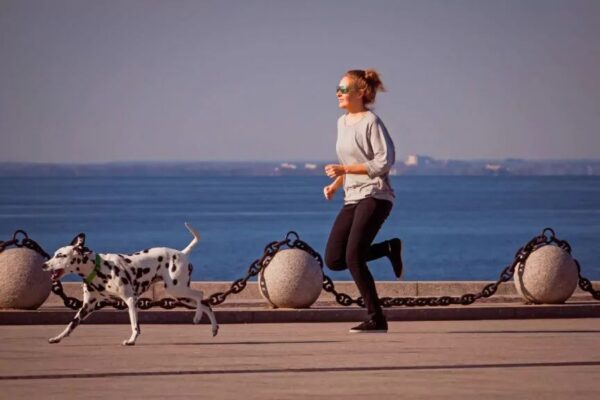 rasy psów, które kochają biegać