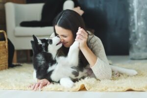 pies jest lepszy niż druga połówka