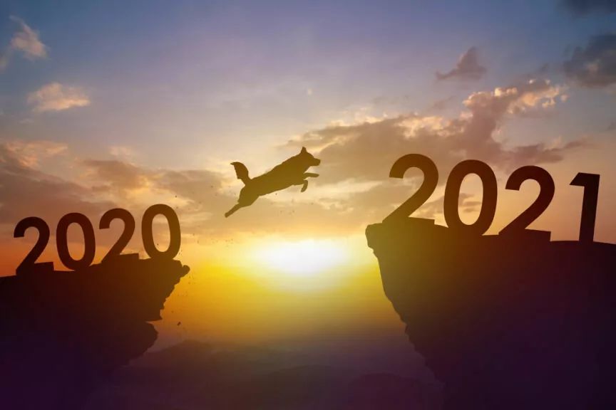 postanowienia noworoczne psa 2021
