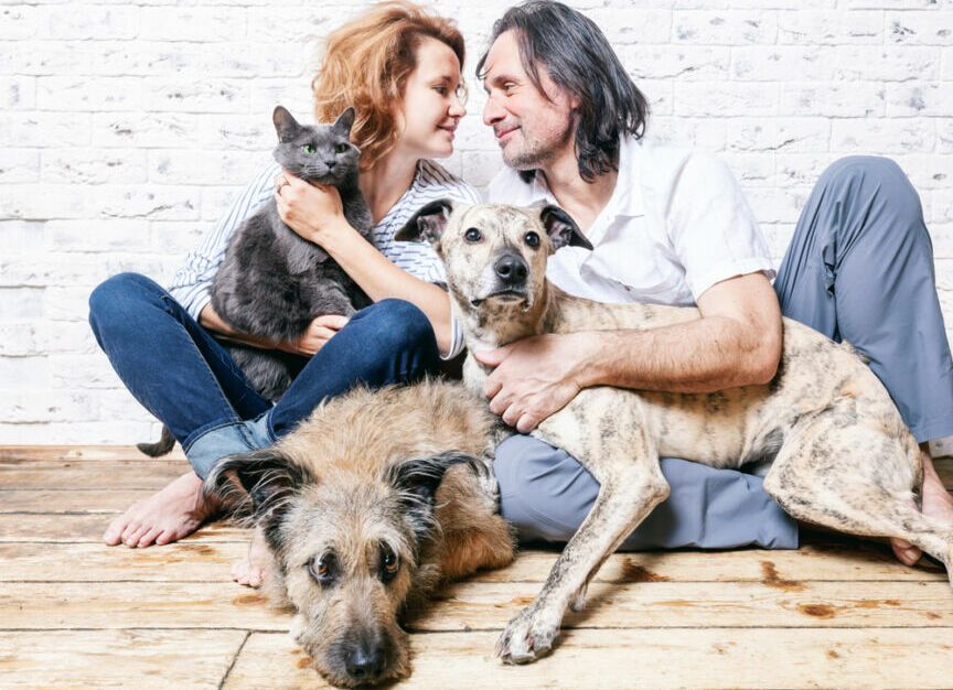 co łączy psiarzy i kociarzy