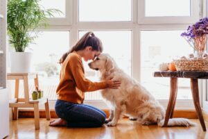 psy rozumieją nas lepiej niż partnerzy