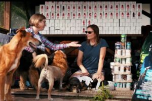 Nestlé Purina PetCare Polska przekazała tonę karmy