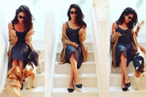 Pies Meghan Markle