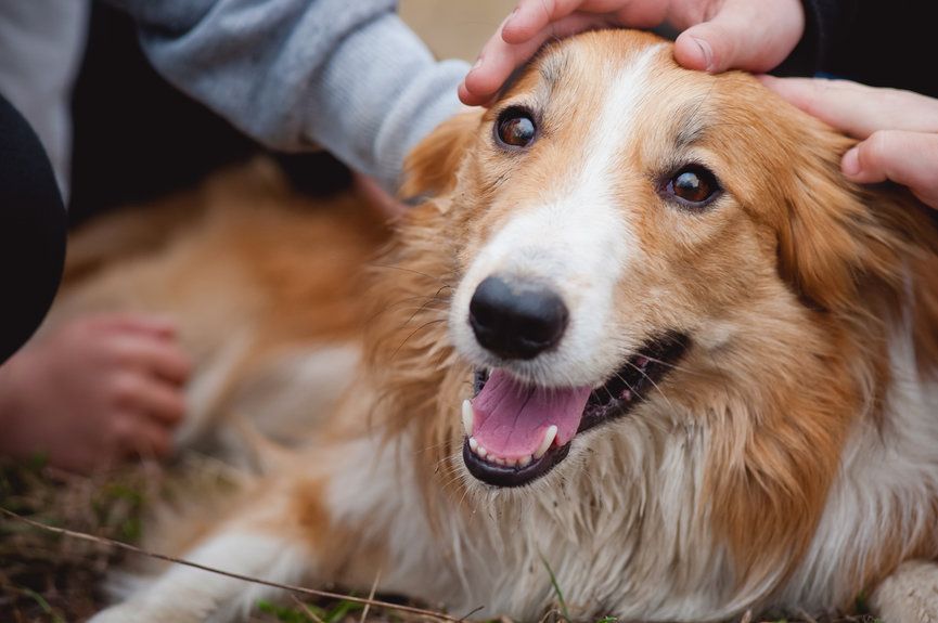 jak się przypodobać psu
