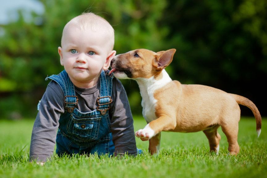 dziecko i pies