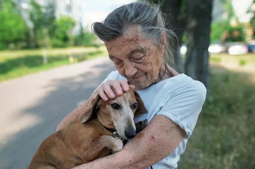 pies będzie żył dłużej