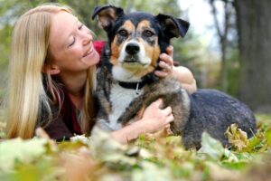 demencja starcza u psa