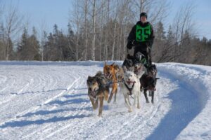Iditarod Trail Sled Dog Race