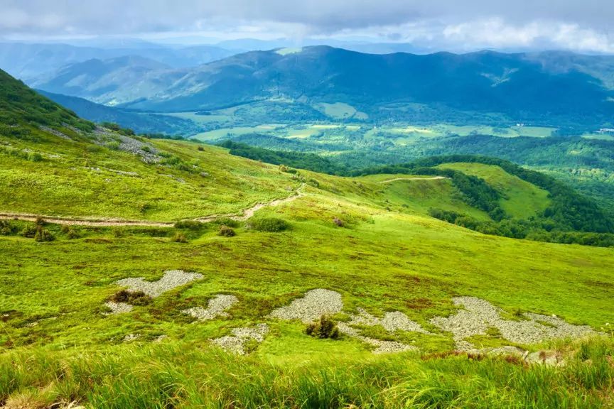 Bieszczady z psem