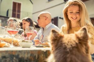 Grupa osób bawi się na zewnątrz, a kobieta karmi psa
