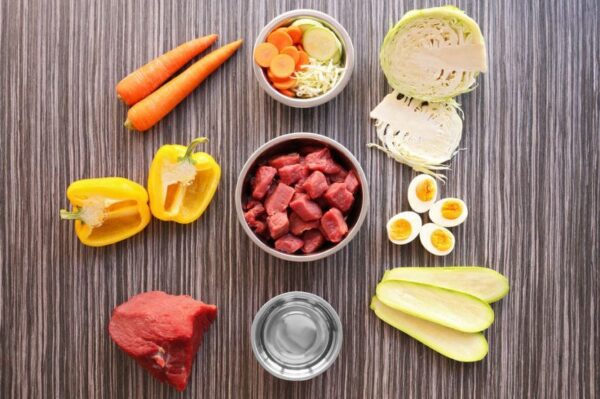 Czym karmić psa zimą