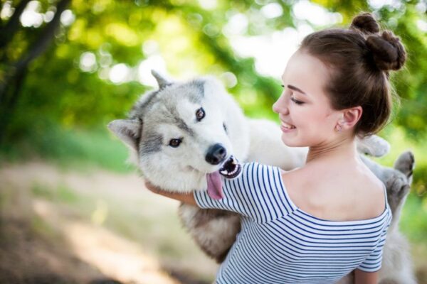 Dziewczyna z huskym