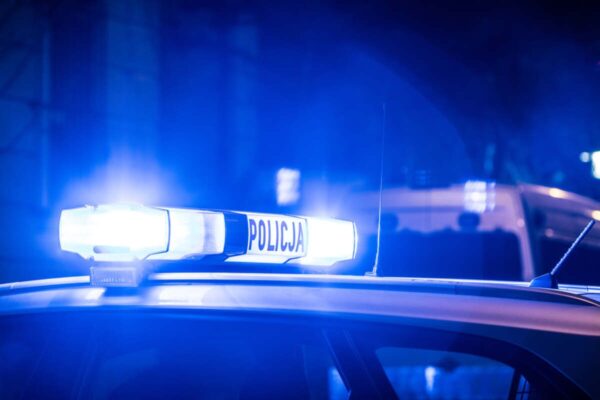 psy zagryzły 7-letnią dziewczynkę koło Olsztyna