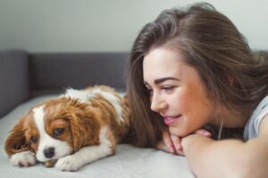 Pani patrzy na małego cavaliera