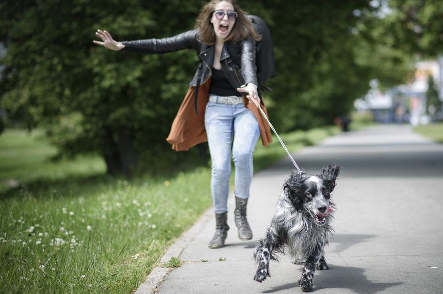 Pies ciągnie kobietę na smyczy