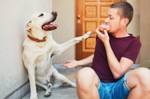 Co pies do ciebie mówi