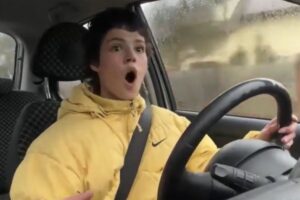 streamerka potrąciła psa.jpg