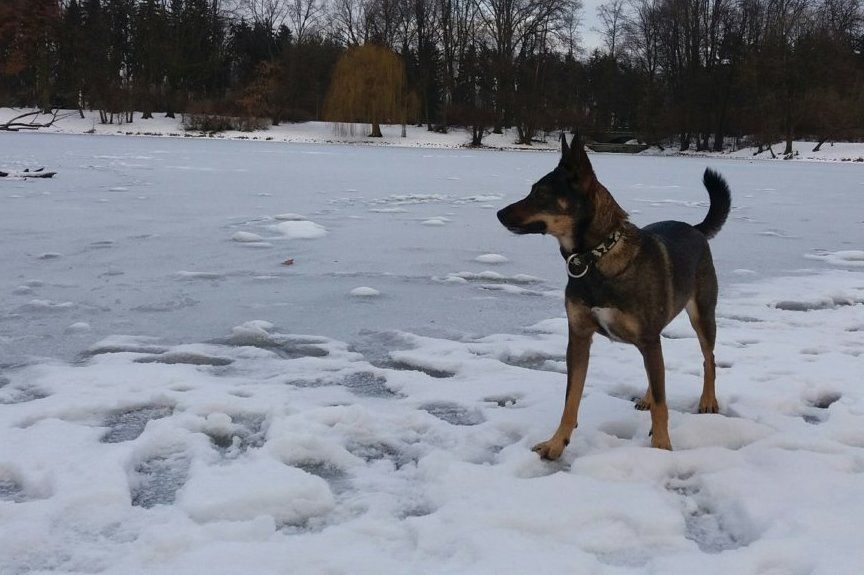 Bezpieczna zima