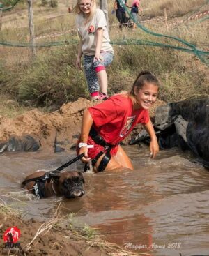 hard dog race junior