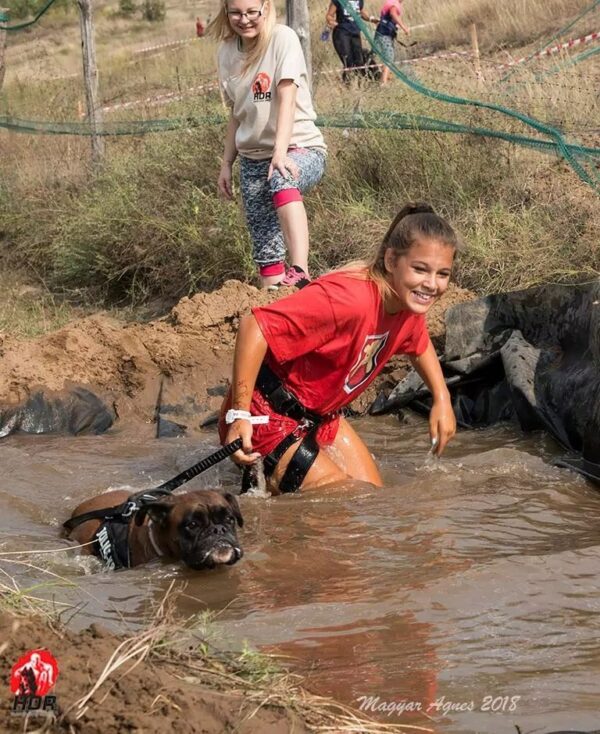 hard dog race junior
