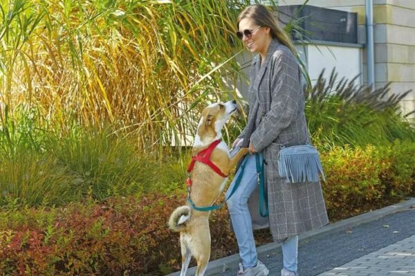 wywiad z olą kwaśniewską