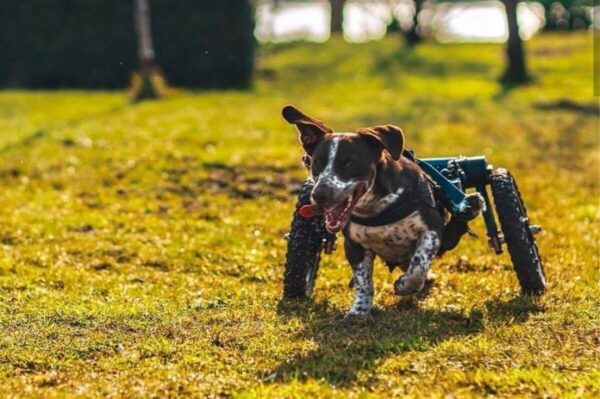 prawomocny wyrok dla oprawcy Fijo