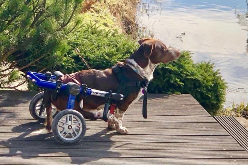 wyrok dla oprawcy Fijo