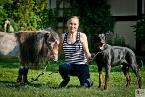 klatka życia dla psów