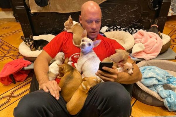 kulturysta i małe pieski