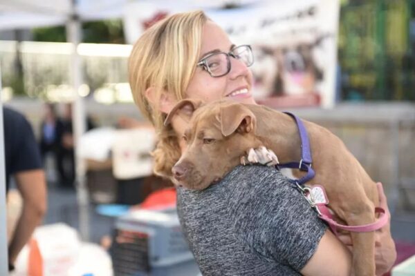 Dom tymczasowy dla psa