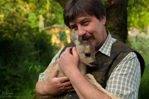 Jacek Wąsiński Leśne Pogotowie