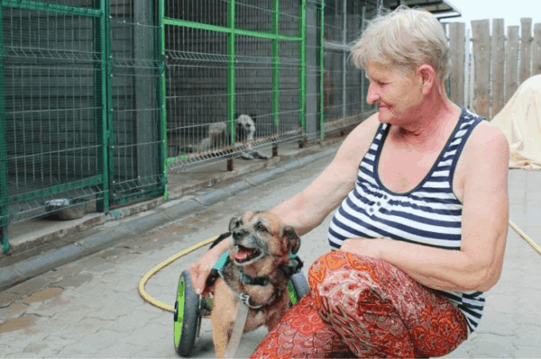 odeszła prezes fundacji znajdki