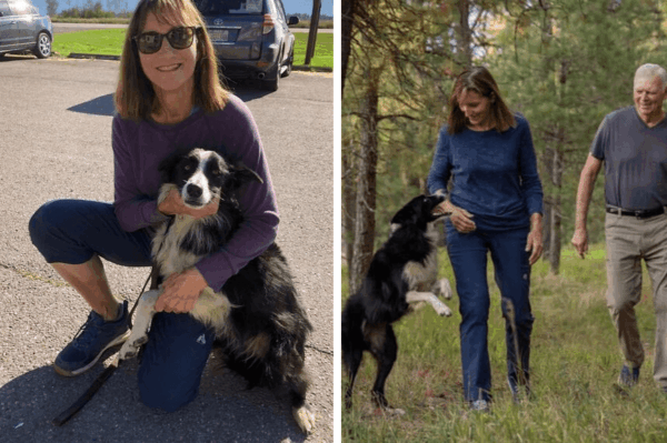 rzuciła pracę, by szukać psa