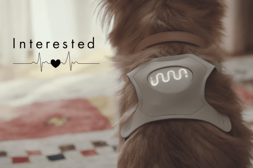 inupathy
