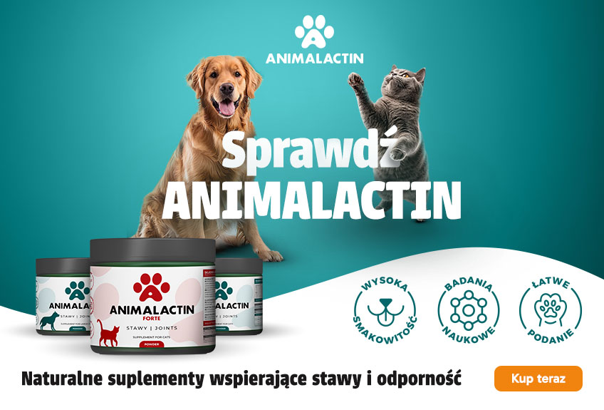 suplementy na stawy dla psa