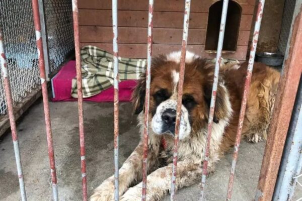 Ziomek przestał być potrzebny