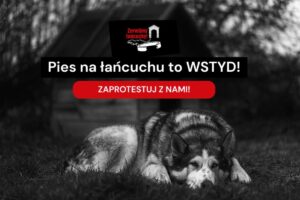 akcja zerwijmy łańcuchy 2022 pies na łańcuchu to wstyd