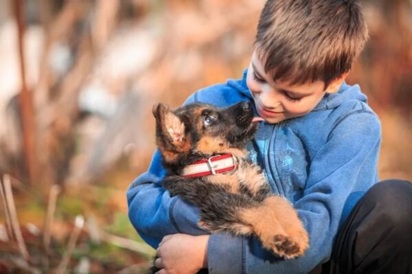 rasy psów dla rodzin z dziećmi