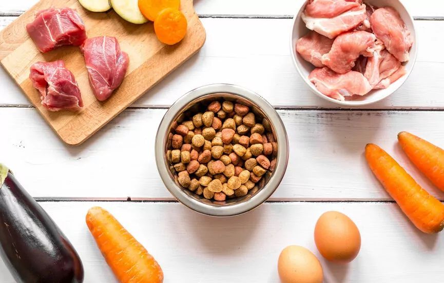 dieta eliminacyjna
